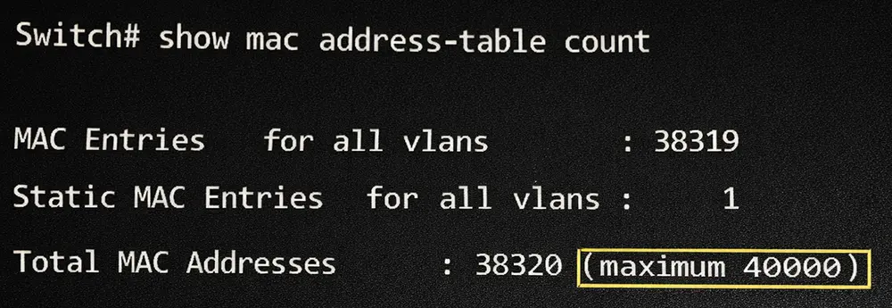 استفاده بالا از MAC Address Table